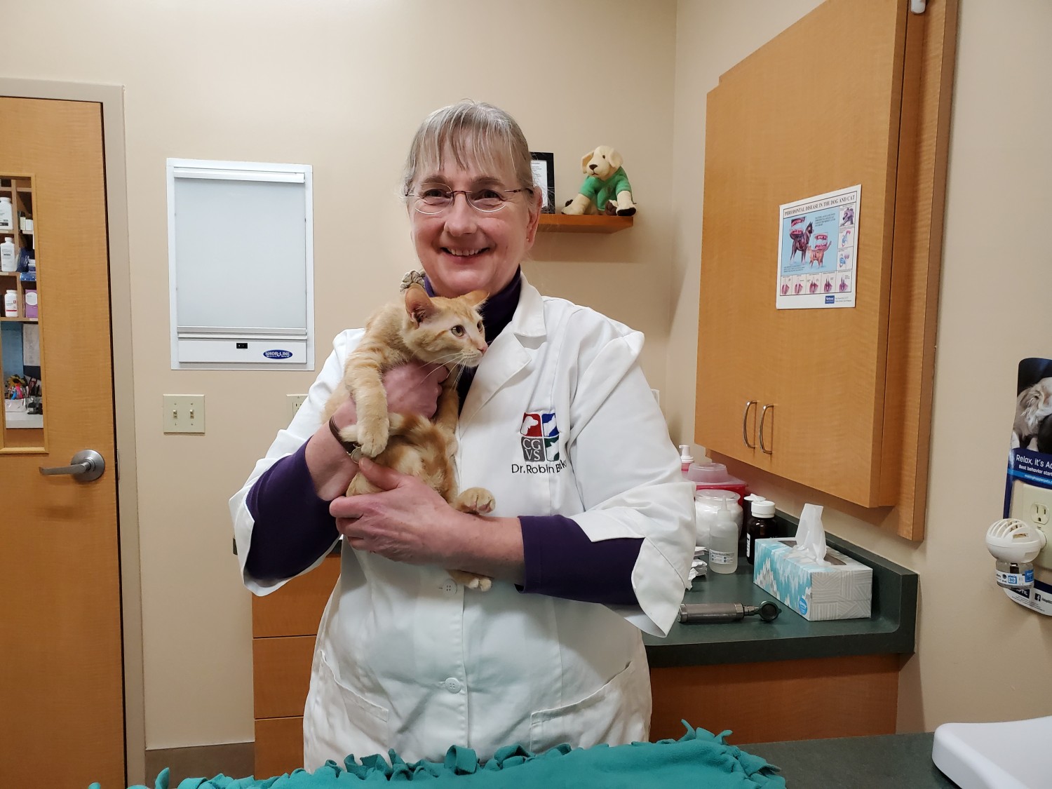 Small Animal Services